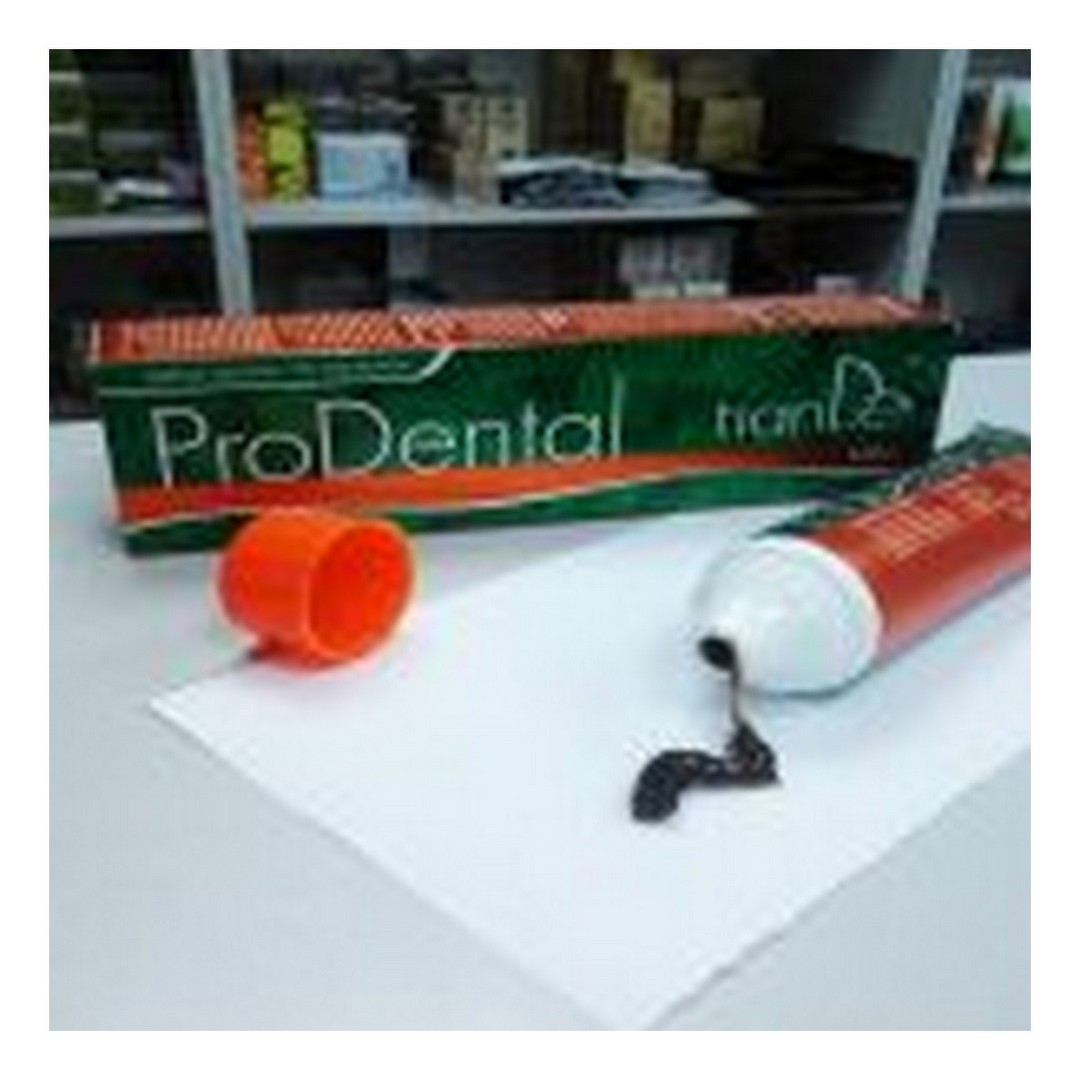 "Prodental" liečivá zubná pasta / tianDe