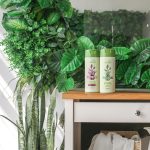 Shampoing Anti-Cheveux Gris Master Herb tianDe 21315 – Image 2