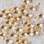 Sérum Correcteur en Capsules 10101 tianDe – Image 2