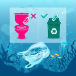 Protège slips aux herbes ultra fins 61921 tianDe – Image 3