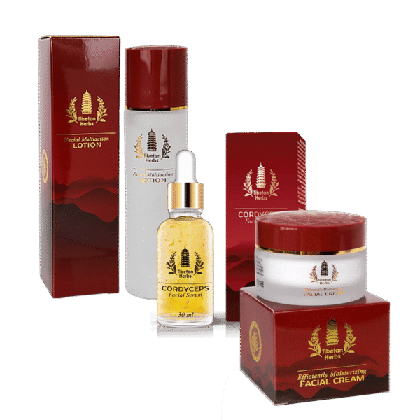 Herbes tibétaines : rajeunissement avec le cordyceps AE230626005 tianDe